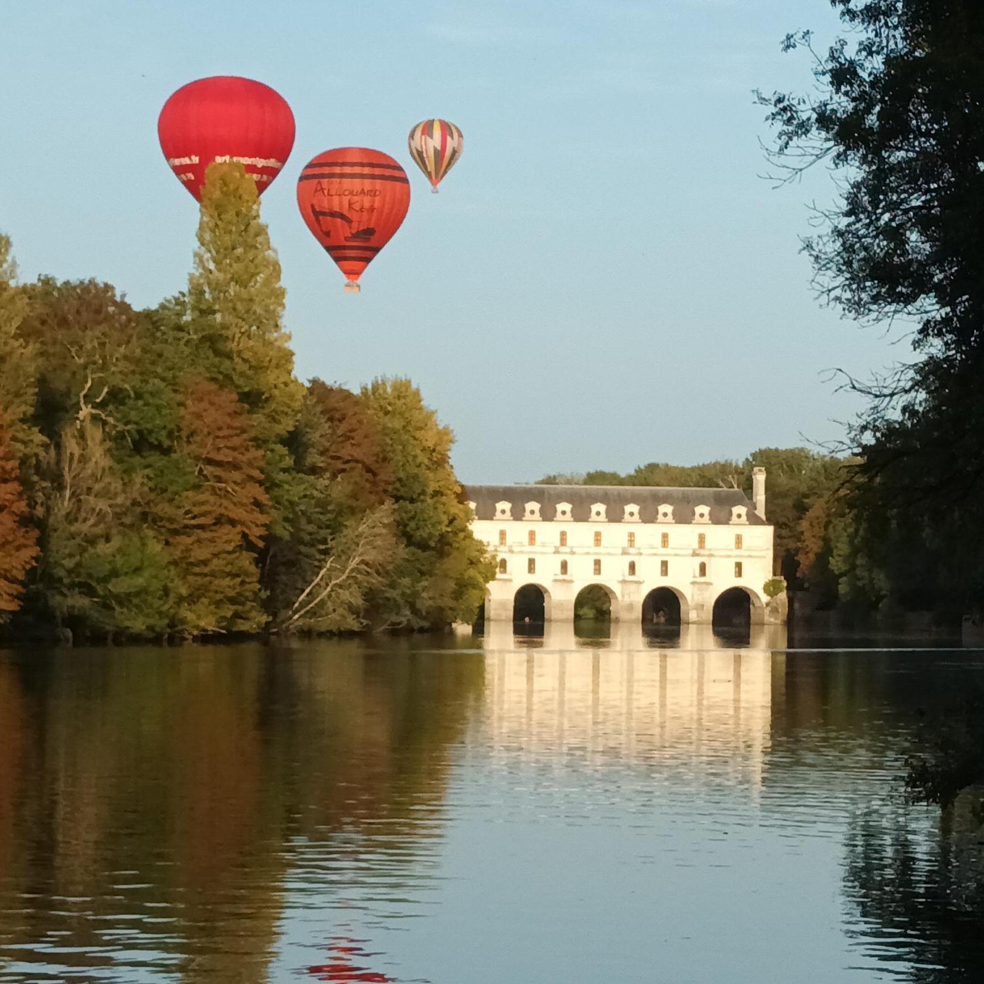 Au Nom Des Dames, Maison Et Table D'Hotes, Pres De Chenonceau Et Du Zoo De Beauval Faverolles-sur-Cher Esterno foto
