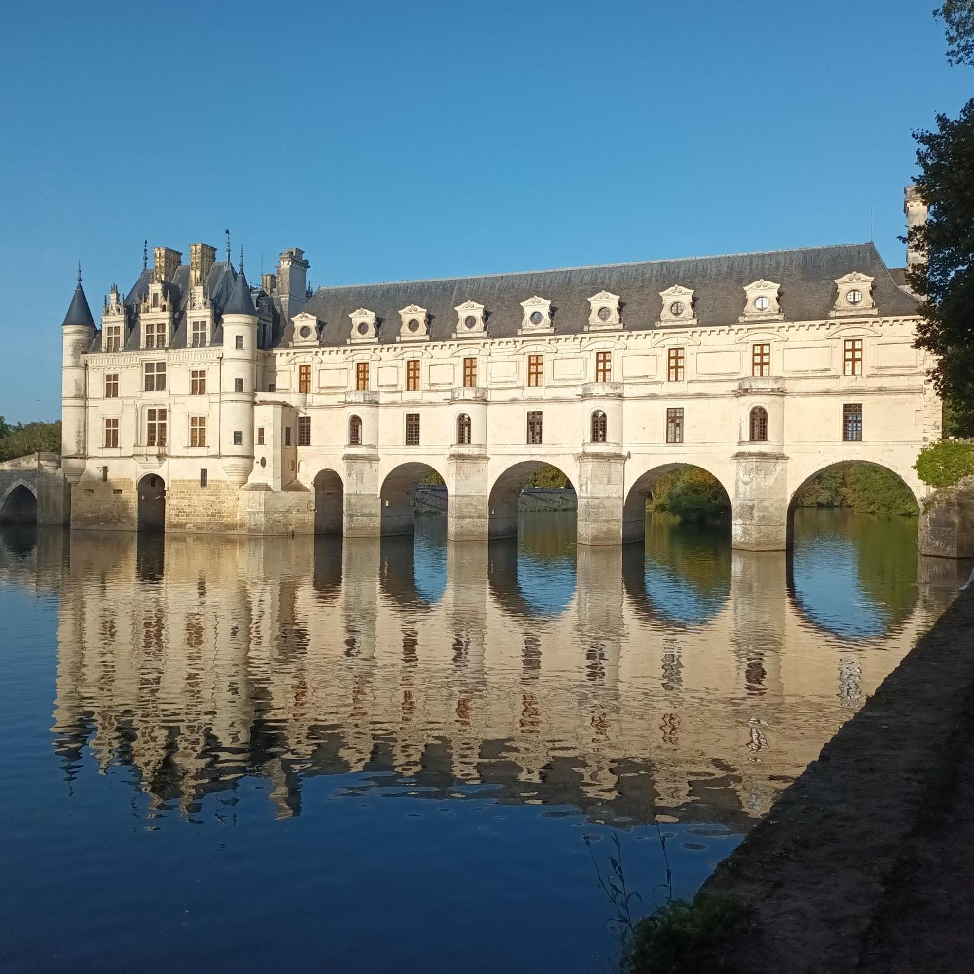 Au Nom Des Dames, Maison Et Table D'Hotes, Pres De Chenonceau Et Du Zoo De Beauval Faverolles-sur-Cher Esterno foto